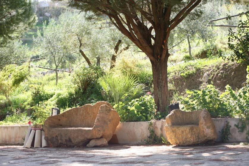 Vila Ciuci'S Manor Aragona Exteriér fotografie