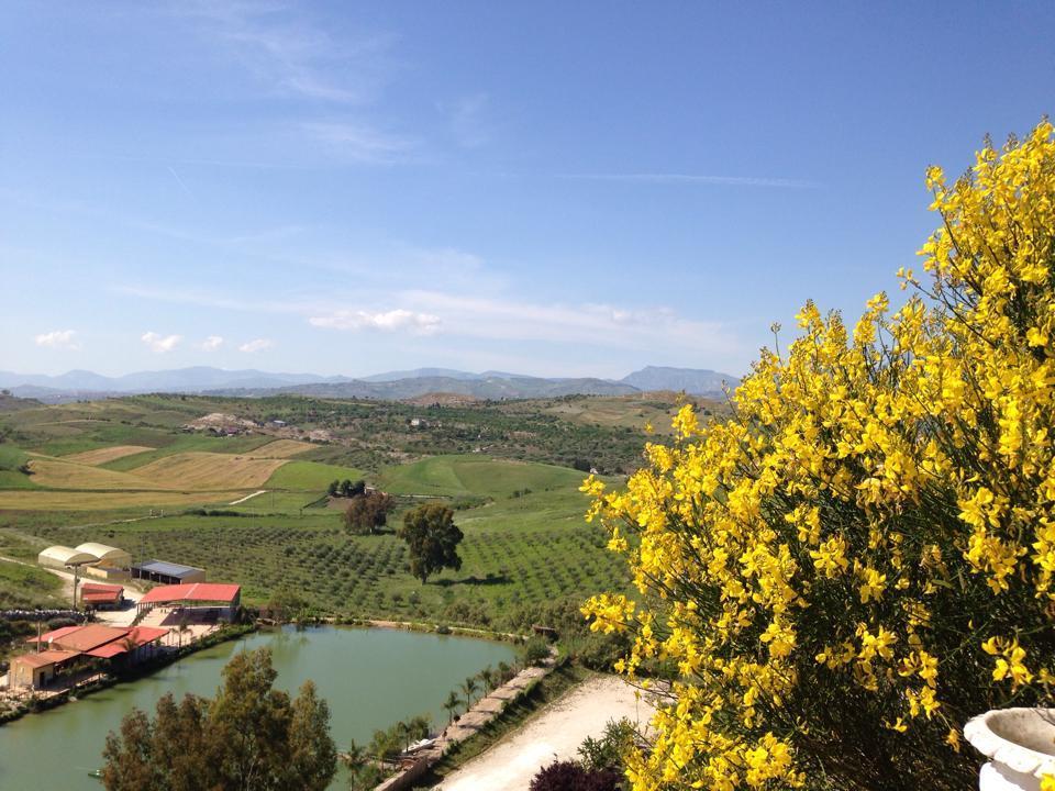 Vila Ciuci'S Manor Aragona Exteriér fotografie
